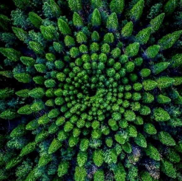 Meet your Posher, Susan - Picture 1 of 1